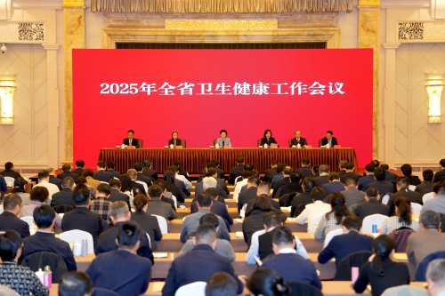 2025年全省卫生健康工作会议在南京召开